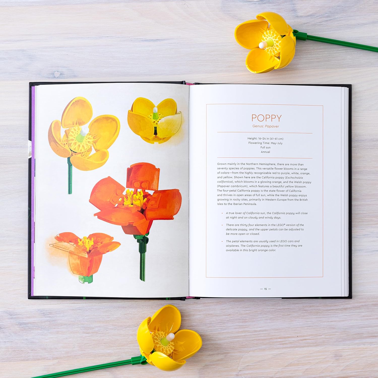 Lego Botanical Almanac by Lego 9781797227801_6