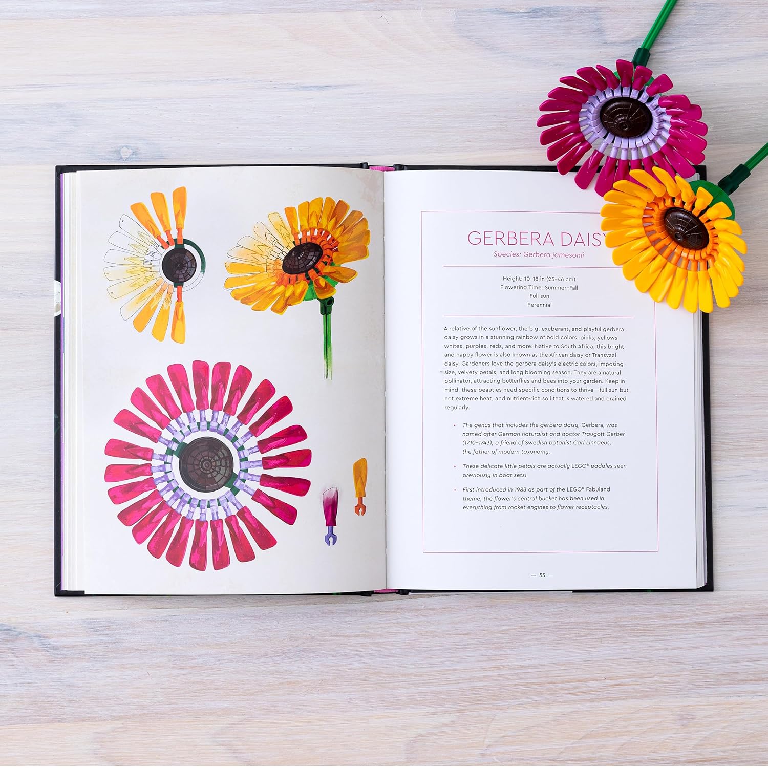 Lego Botanical Almanac by Lego 9781797227801_7