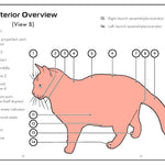 The Cat Operator's Manual by Queen Olivia Iii 9781797232324_3