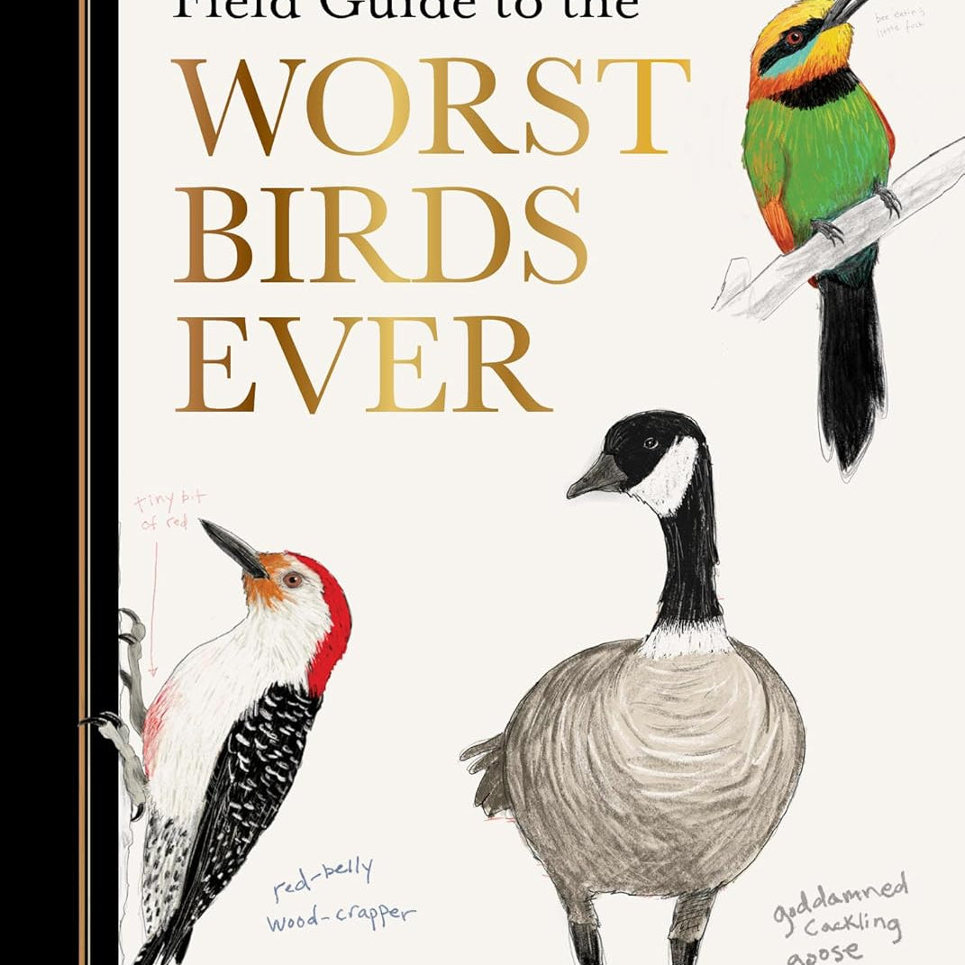 A Dumb Birds Field Guide To The Worst Birds Ever by Kracht. Matt 9781797232751
