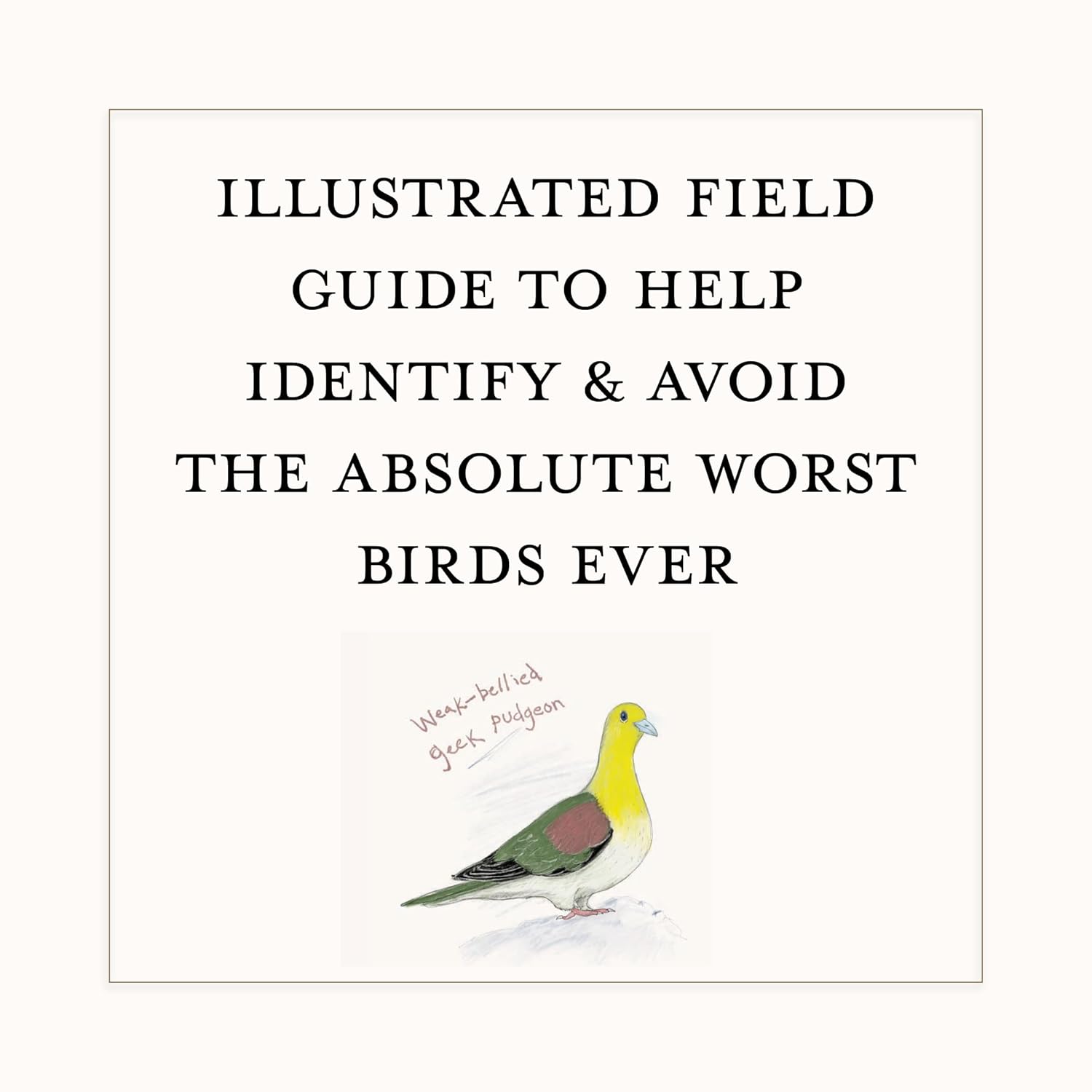 A Dumb Birds Field Guide To The Worst Birds Ever by Kracht. Matt 9781797232751_1