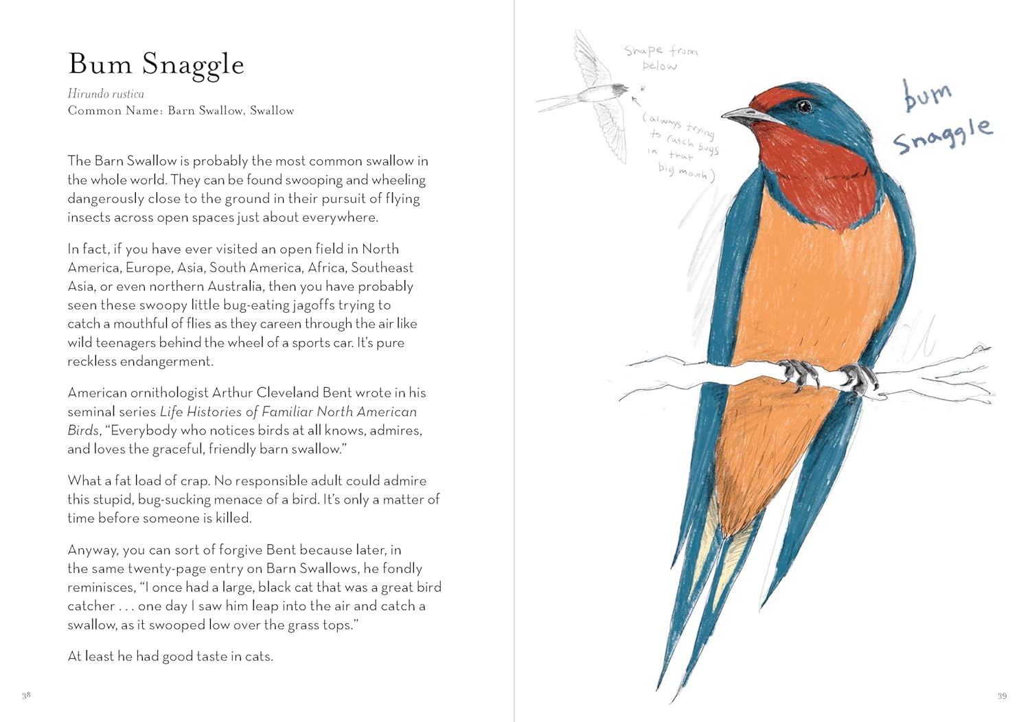 A Dumb Birds Field Guide To The Worst Birds Ever by Kracht. Matt 9781797232751_10