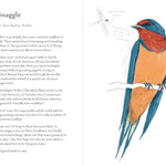 A Dumb Birds Field Guide To The Worst Birds Ever by Kracht. Matt 9781797232751_10