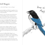 A Dumb Birds Field Guide To The Worst Birds Ever by Kracht. Matt 9781797232751_9
