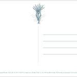 Studio Ghibli Princess Mononoke: 30 Postcards 50 9781797235516_3
