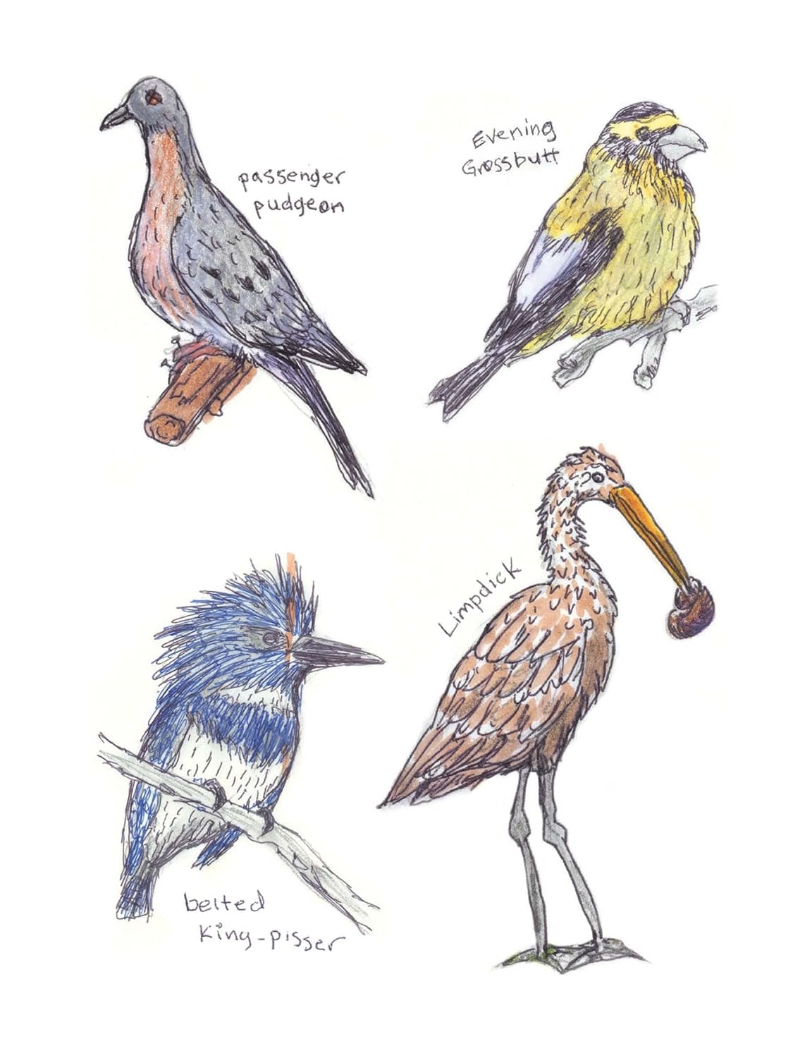 The Field Guide To Dumb Birds Sticker Book by Kracht. Matt 9781797235882_4