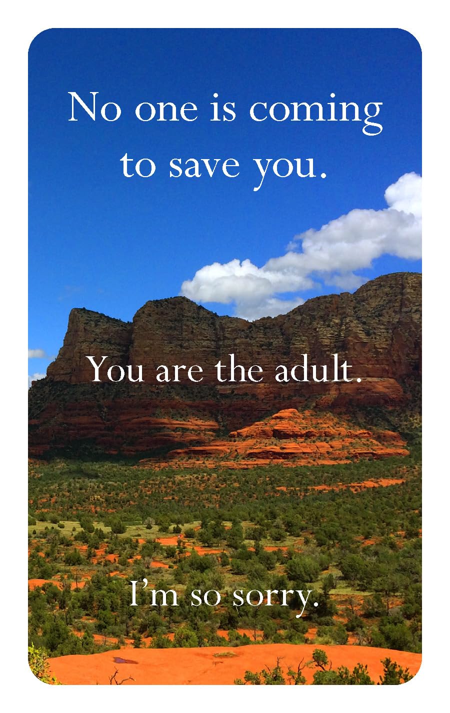Disappointing Affirmations Deck by Tarnowski. Dave 20 9781797236926_4