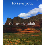 Disappointing Affirmations Deck by Tarnowski. Dave 20 9781797236926_4_8437ca83-e18d-4cab-bc87-49c4f3fea139