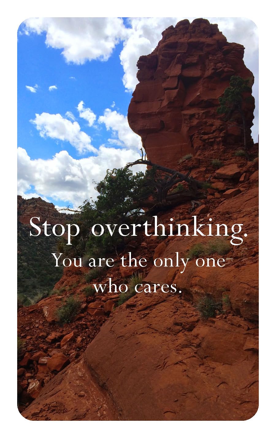 Disappointing Affirmations Deck by Tarnowski. Dave 20 9781797236926_7