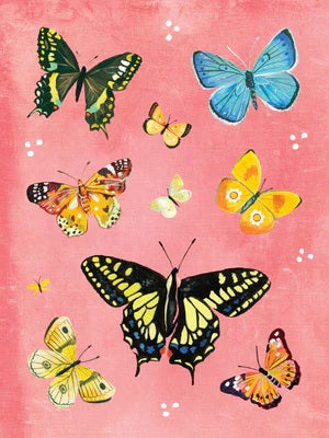 Wildflower Picinic Sticker Book by Daisy. Katie 20 9781797238906_2afe7b5a-f3ba-496c-9286-4323c5fb2a27