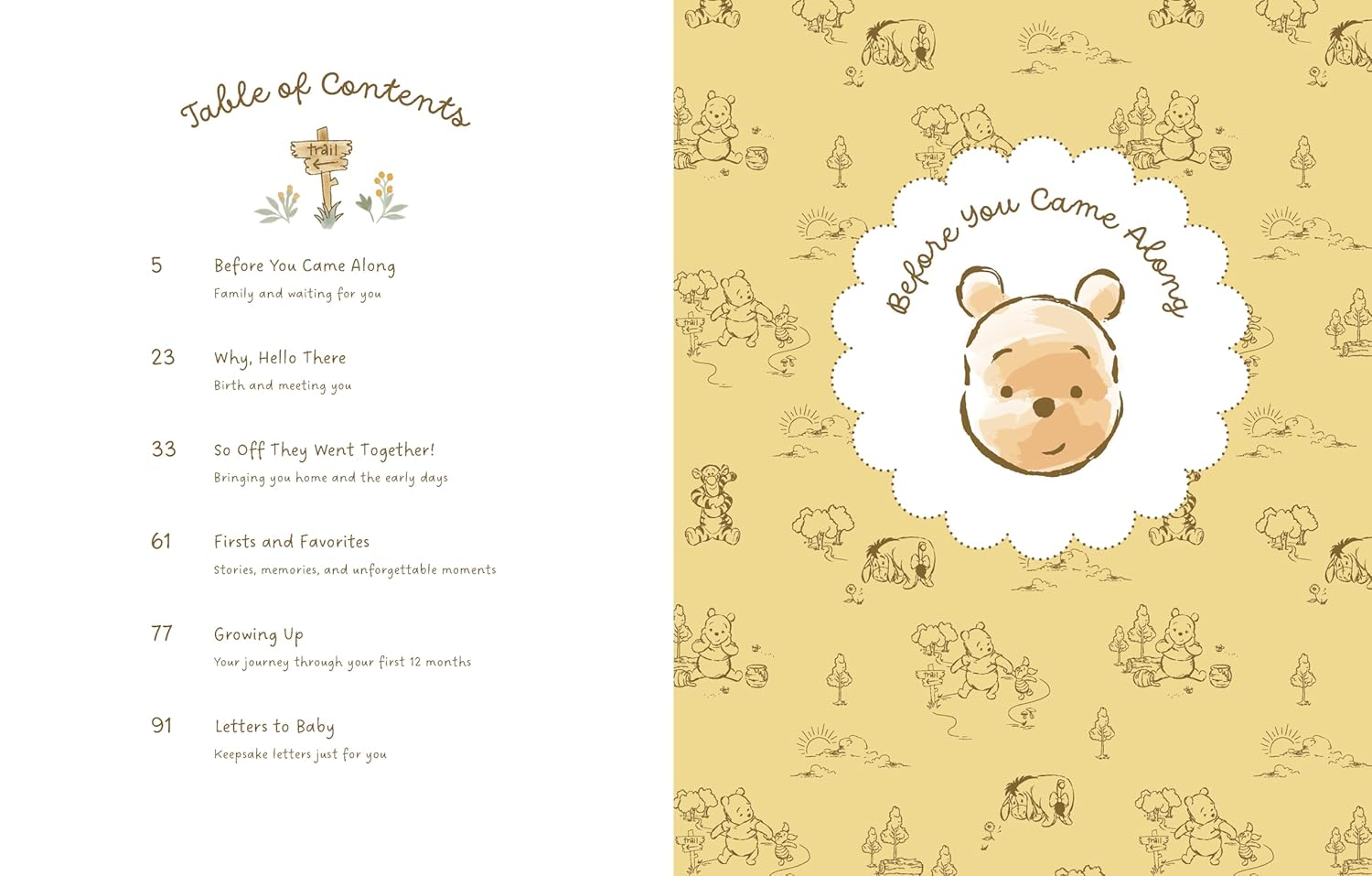 Winnie The Pooh Baby Book by Disney 20 9781797239248_eb72c7ee-2c83-42dd-bc36-4bb7a741b560