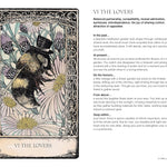 Tarot Of Tales: 78 Cards & Illustrated Book by Holm. Melinda Lee 20 9781800651999_3