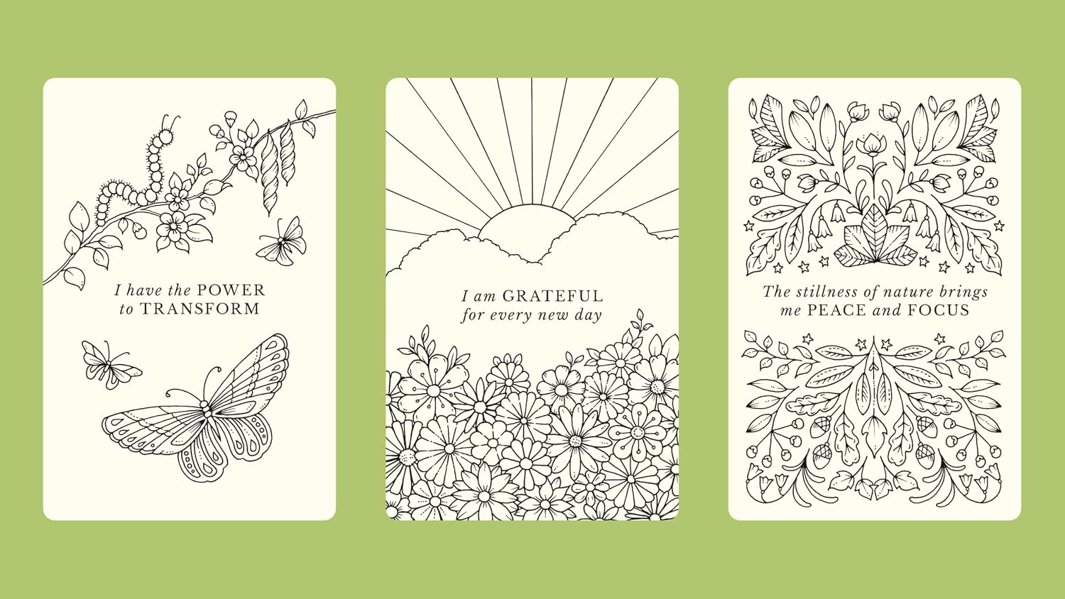 Notes From Nature: 30 Affirmation Cards To Color by Basford. Johanna 20 9781805700517_3