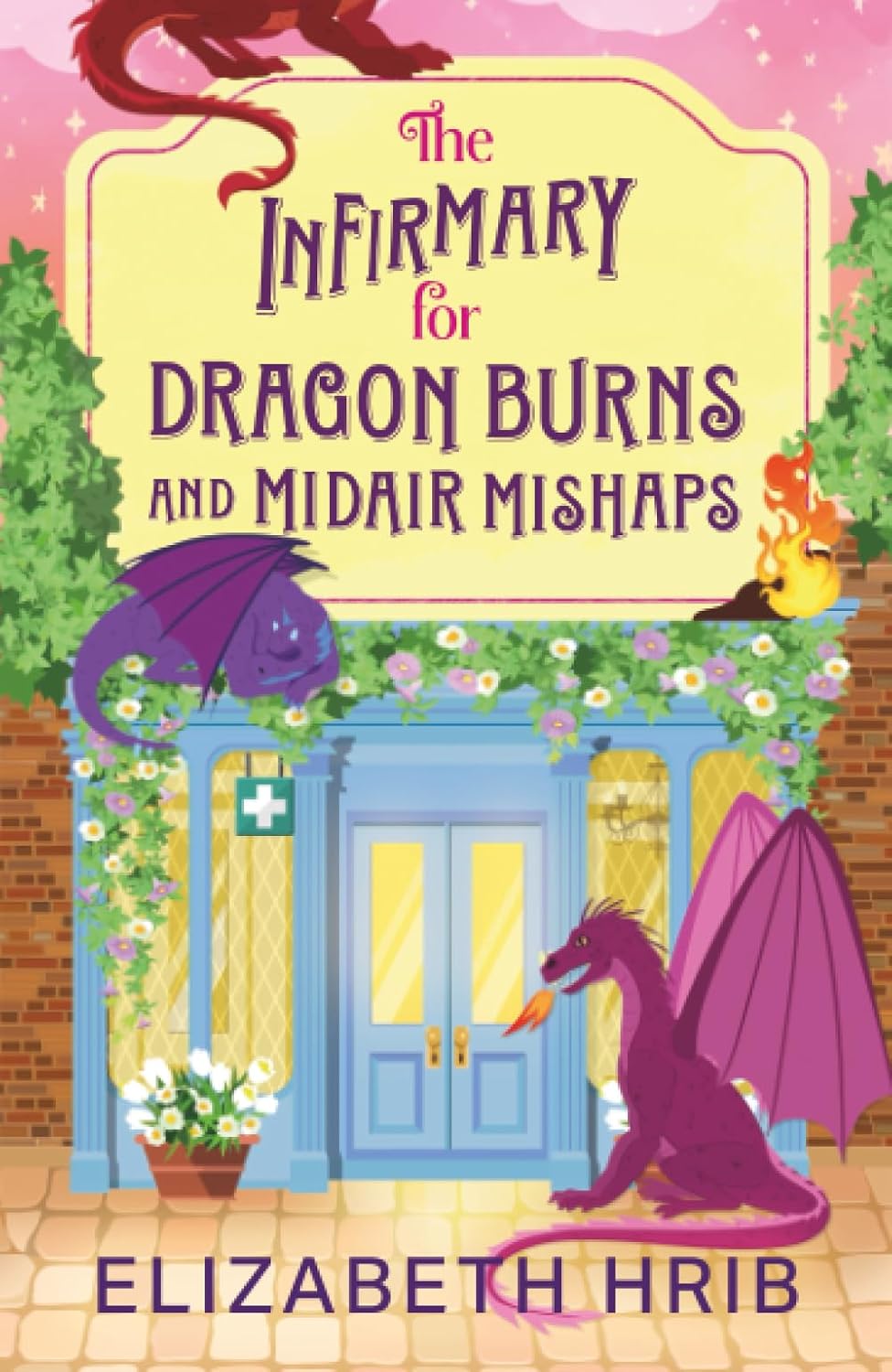 The Infirmary for Dragon Burns and Midair Mishaps by Hrid. Elizabeth 20 9781807955311