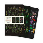 Herbals Set Of 3 Mini Notebooks (5.8X3.5) - Stead. Anna 50 9781835627020
