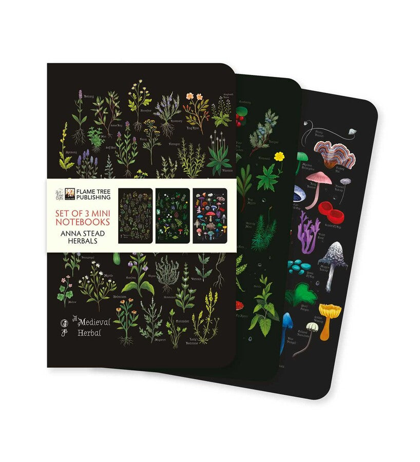 Herbals Set Of 3 Mini Notebooks (5.8X3.5) - Stead. Anna 50 9781835627020