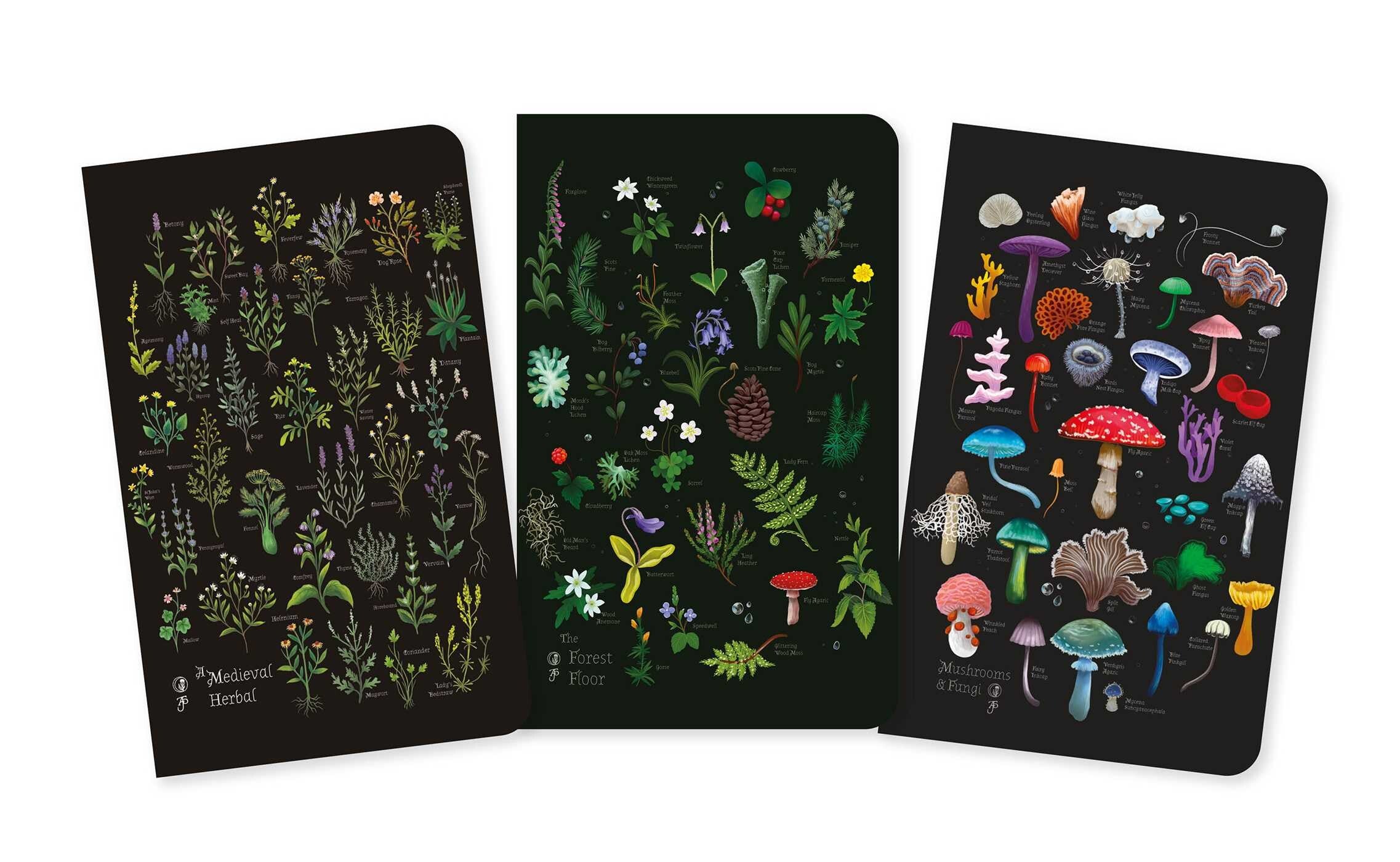 Herbals Set Of 3 Mini Notebooks (5.8X3.5) - Stead. Anna 50 9781835627020_1_84f11d6f-cb56-4564-9a57-838d87e7811e