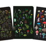 Herbals Set Of 3 Mini Notebooks (5.8X3.5) - Stead. Anna 50 9781835627020_1_84f11d6f-cb56-4564-9a57-838d87e7811e