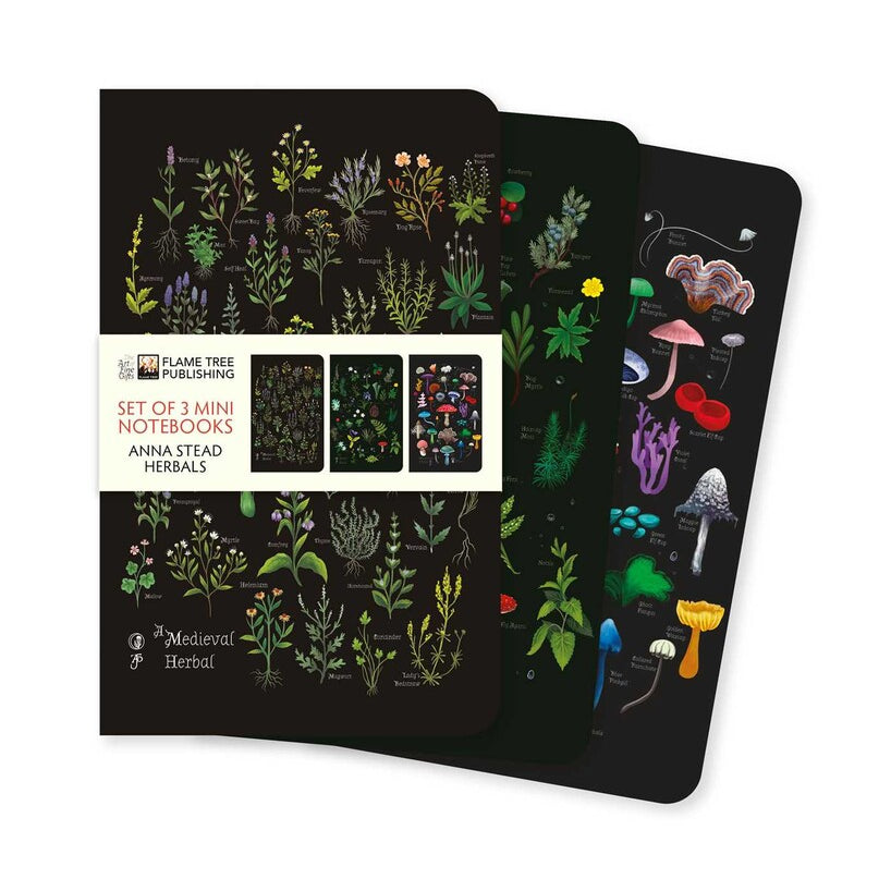 Herbals Set Of 3 Mini Notebooks (5.8X3.5) - Stead. Anna 50 9781835627020_708b31d0-6c3e-454e-9d1a-38c20b247e47