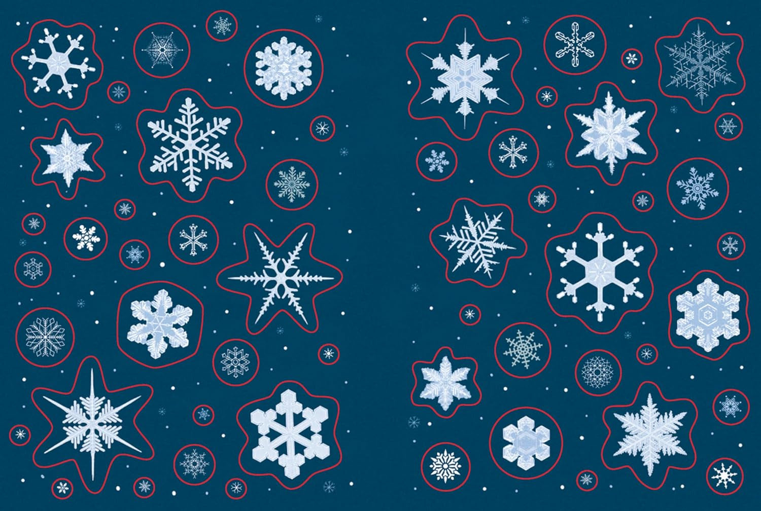 Stickertopium: Enchanted Christmas by Design Eye 9781836001508_2