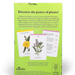 A Cabinet Full Of Medicinal Plants by Royal Botanic Gardens Kew 9781836001638_1