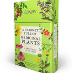 A Cabinet Full Of Medicinal Plants by Royal Botanic Gardens Kew 9781836001638_2