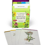 A Cabinet Full Of Medicinal Plants by Royal Botanic Gardens Kew 9781836001638_4