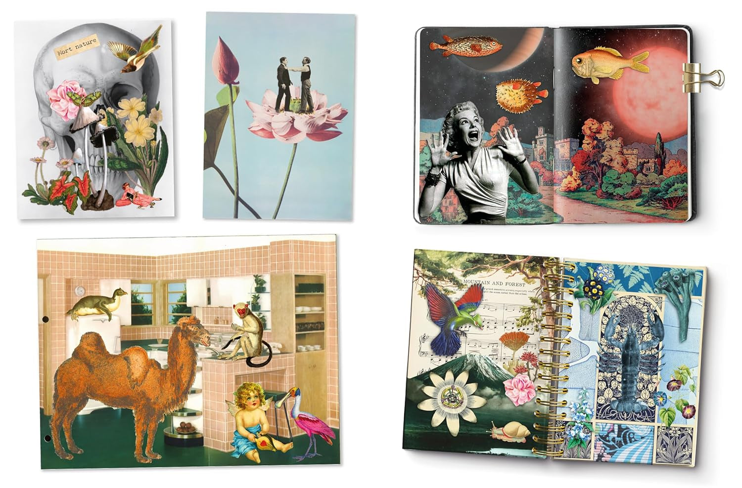 Cut Up This Book: Creative Papers: 100 Patterns & Backgrounds by Wilmshurst. G 20 9781837760893_1