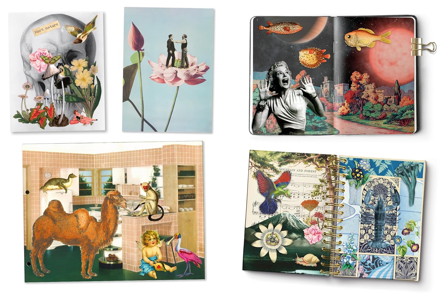 Cut Up This Book: Creative Papers: 100 Patterns & Backgrounds by Wilmshurst. G 20 9781837760893_1_db2fed73-244a-49b2-aa5c-4e0d9ee407cf