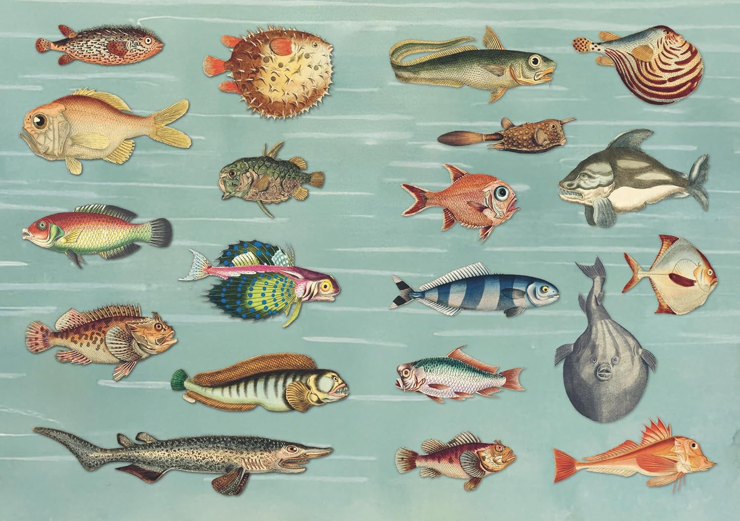 The Curious Collections Sticker Book by Sutton. Emily 9781837760916_5