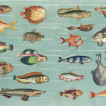 The Curious Collections Sticker Book by Sutton. Emily 9781837760916_5