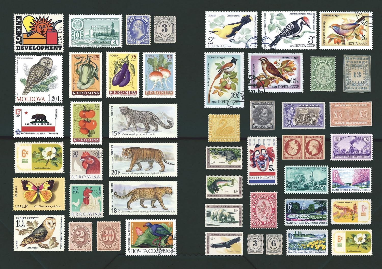 The Curious Collections Sticker Book by Sutton. Emily 9781837760916_7