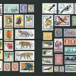The Curious Collections Sticker Book by Sutton. Emily 9781837760916_7