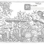 Into The Fungarium Coloring Book by Tromop. Anna 20 9781837836352_1