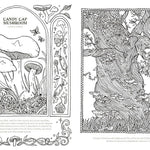Into The Fungarium Coloring Book by Tromop. Anna 20 9781837836352_2