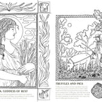 Into The Fungarium Coloring Book by Tromop. Anna 20 9781837836352_5