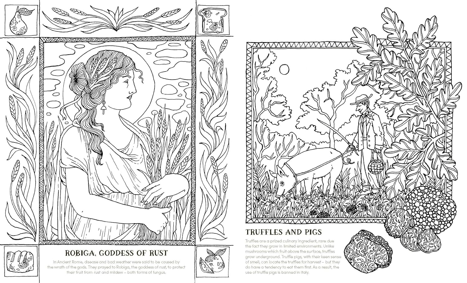 Into The Fungarium Coloring Book by Tromop. Anna 20 9781837836352_5