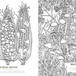 Into The Fungarium Coloring Book by Tromop. Anna 20 9781837836352_7