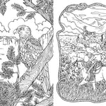 Saddle Up!: Color Your Way Through The Wild West by Tromop. Anna 20 9781837836994_2