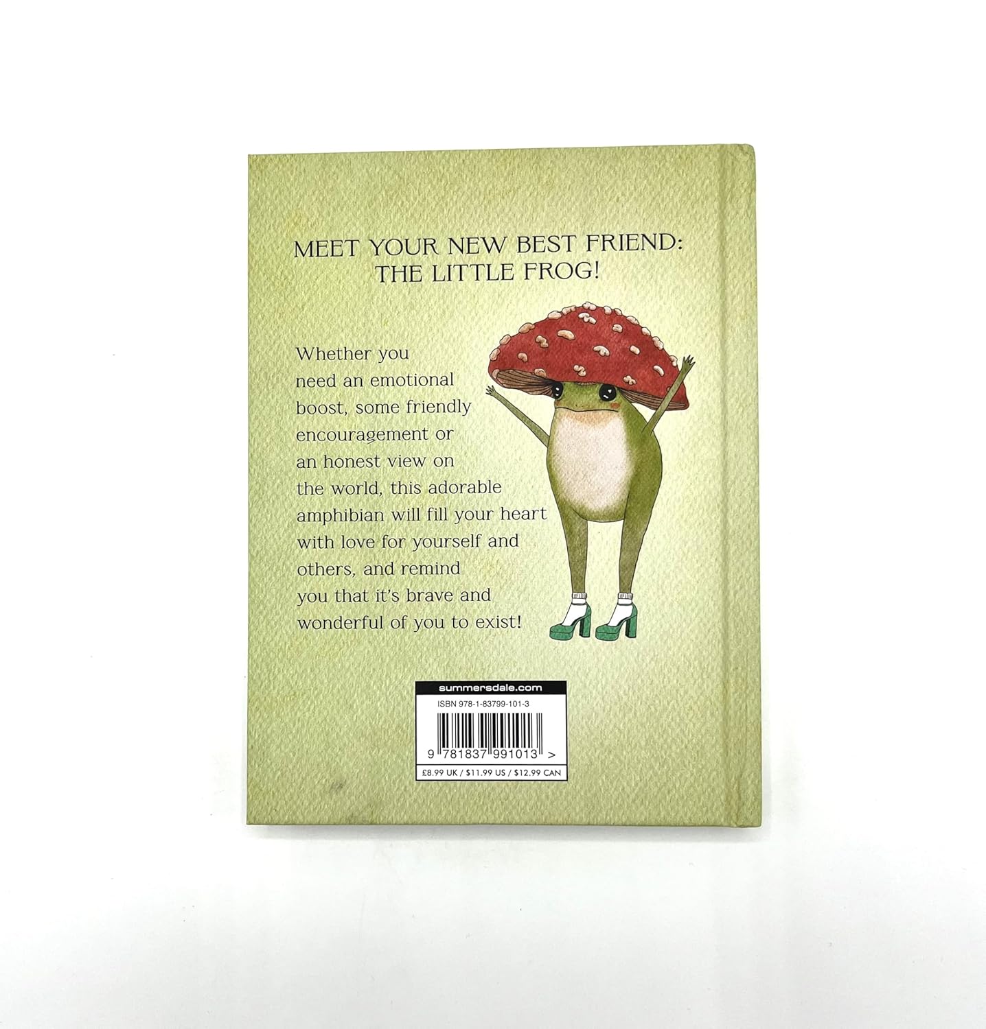 The Little Frog's Guide To Self Care by Eequay. Maybell 9781837991013_7