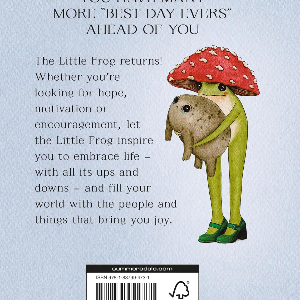The Little Frog's Guide To Life: Love, Advise And Inspiration For... by Eequay. 9781837994731_1
