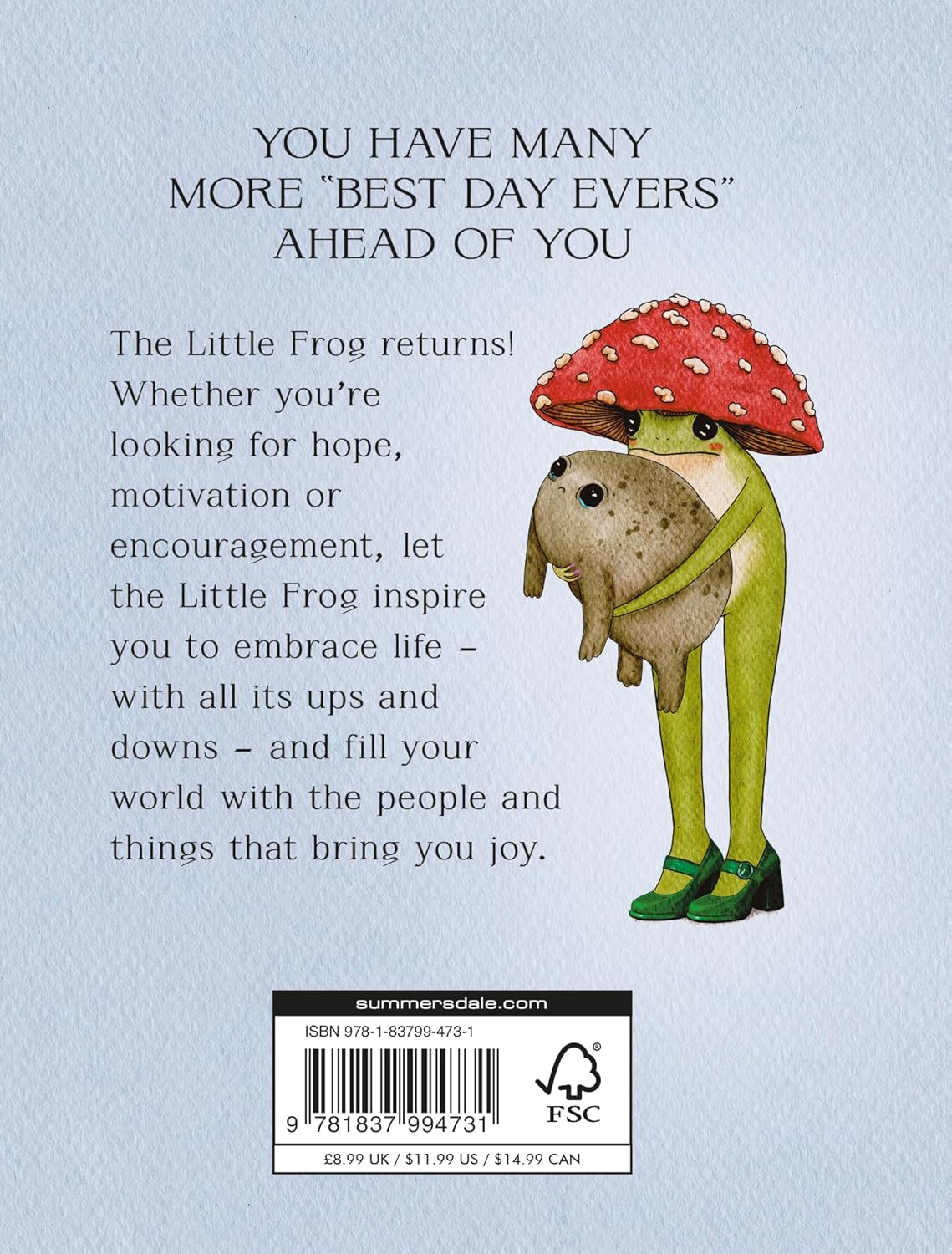 The Little Frog's Guide To Life: Love, Advise And Inspiration For... by Eequay. 9781837994731_1