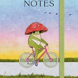 The Little Frog Notebook - Eequay. Maybell 9781837997367