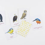 Match A Pair Of Birds: Memory Game by Berrie. Christine 20 9781856699662_3