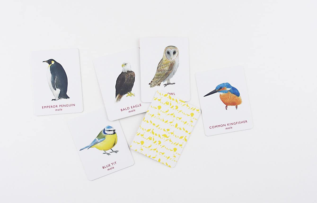 Match A Pair Of Birds: Memory Game by Berrie. Christine 20 9781856699662_3