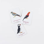 Match A Pair Of Birds: Memory Game by Berrie. Christine 20 9781856699662_4