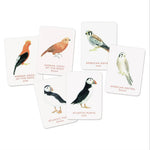 Match A Pair Of Birds: Memory Game by Berrie. Christine 20 9781856699662_5