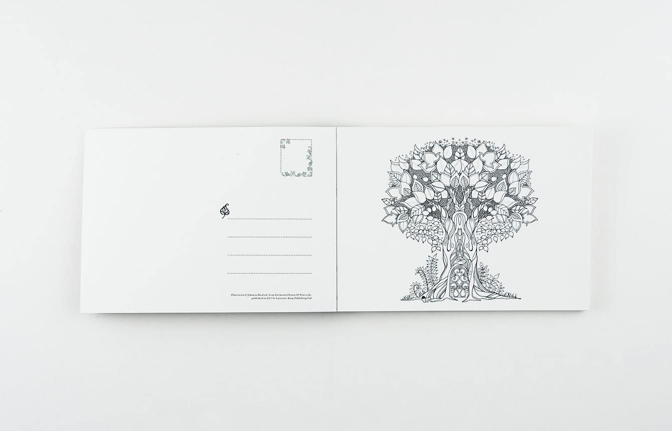Enchanted Forest Postcards: 20 Postcards To Color by Basford. Joanna 9781856699792_3