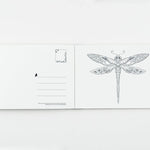 Enchanted Forest Postcards: 20 Postcards To Color by Basford. Joanna 9781856699792_6
