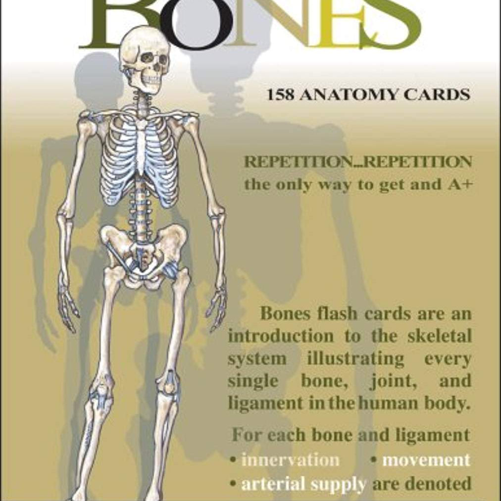 Bones Flash Cards 9781878576019